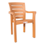 Кресло Irak Plastik Didim, тик (HK510) - миниатюра 1