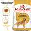 Сухий корм для дорослих собак породи Золотистий ретрівер Royal Canin Golden Retriever Adult, 3 кг (3970030) - мініатюра 5