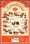 Набор шоколадных конфет Reber Адвент Календарь, рождественский, 650 г - миниатюра 3