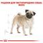 Сухий корм для дорослих собак породи Мопс Royal Canin Pug Adult, 3 кг (3985030) - мініатюра 3