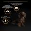 Сухий корм для дорослих собак дрібних порід Purina Pro Plan Adult Small & Mini, з куркою, 7 кг (12376022) - мініатюра 7