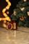 Парфюмированная свечка Рождественское Esse Имбирное печенье 120 г - миниатюра 4