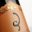 Шампанское Billecart-Salmon Champagne АОС 2008 Cuvee Elisabeth-Salmon Rose, розовое, брют, в п/у, 12,5%, 0,75 л - миниатюра 3