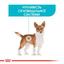 Сухой корм для собак малых пород с чувствительной мочевыделительной системой Royal Canin Mini Urinary Care, 3 кг (1261030) - миниатюра 3