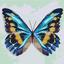 Набор для росписи по номерам Ідейка Голубая бабочка, 25х25 см (KHO4207) - миниатюра 1