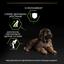 Сухий корм для цуценят великих порід Purina Pro Plan Large Robust Puppy, з куркою, 12 кг (12375805) - мініатюра 7
