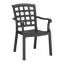 Кресло Papatya Паша, антрацит (812344) - миниатюра 1