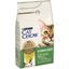 Сухий корм для стерилізованих котів Cat Chow Sterilised з куркою 1.5 кг - мініатюра 3