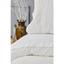 Набір постільна білизна з покривалом піке Karaca Home Carla ekru, євро, молочний, 7 предметів (svt-2000022225670) - мініатюра 2
