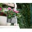 Горщик для квітів Serinova балконний підвісний Camellia, 3 л, біло-сірий (TOM1-KirliBeyaz) - мініатюра 3