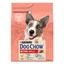 Сухой корм для собак с повышенной активностью Dog Chow Active Adult 1+, с курицей, 2,5 кг - миниатюра 1