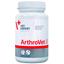 Харчова добавка Vet Expert ArthroVet для захисту та підтримки суглобів, 60 таблеток - мініатюра 1