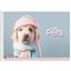 Альбом для малювання Школярик Пес в шапці і шарфі, 20 аркушів (PB-SC-020-557) - мініатюра 1