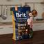 Сухой корм для собак средних пород Brit Premium Dog Adult М, с курицей, 3 кг - миниатюра 6