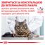 Сухой диетический корм Royal Canin Skin&Coat для кошек после стерилизации при дерматозе и выпадении шерсти, 1,5 кг (1323015) - миниатюра 9