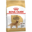 Сухий корм для дорослих собак породи Золотистий ретрівер Royal Canin Golden Retriever Adult, 3 кг (3970030) - мініатюра 1