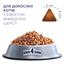 Сухой корм для кошек Club 4 Paws Premium с эффектом выведения шерсти из пищеварительного тракта, 14 кг (B4630101) - миниатюра 3