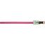 Нашийник подвійний Lucky Pet Melange, світловідбивний, 30-40х2 см, рожевий - мініатюра 2