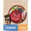 Сухий корм для цуценят малих порід Purina One Mini Junior, з куркою та рисом, 800 г - мініатюра 1