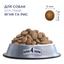 Сухой корм для собак всех пород Club 4 Paws Premium, ягненок и рис, 14 кг (B4530801) - миниатюра 3