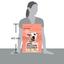 Сухой корм для собак с чувствительным пищеварением Dog Chow Sensitive Adult 1+, с лососем, 2,5 кг - миниатюра 4