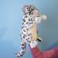 Мягкая игрушка на руку Hansa Puppet Снежный Барс, 32 см, (7502) - миниатюра 3