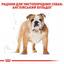 Сухий корм для дорослих собак породи Бульдог Royal Canin Bulldog Adult 3 кг (2590120) - мініатюра 3