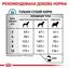 Сухой диетический корм для собак малых пород Royal Canin Skin Care Adult Small Dog при дерматозах и выпадении шерсти, 2 кг (40060201) - миниатюра 3