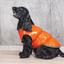 Жилет Pet Fashion Spring XS2 оранжевый - миниатюра 4