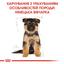 Сухий корм для цуценят породи Німецька вівчарка Royal Canin German Shepherd Puppy, 12 кг (25191201) - мініатюра 2