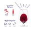 Вино Savella Chianti, червоне, сухе, 12%, 0,75 л - мініатюра 2