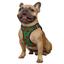 Шлея для собак Bronzedog Sport Vest Арбуз S 20х16х3 см зеленая - миниатюра 3