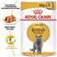 Влажный корм для взрослых кошек породы британская короткошерстная Royal Canin British Shorthair Adult, кусочки в подливе, 85 г - миниатюра 6