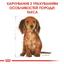 Сухий корм для цуценят породи Такса Royal Canin Dachshund Puppy, 1,5 кг (24370151) - мініатюра 2
