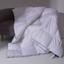 Одеяло пуховое MirSon Imperial Delight, демисезонное, 240х220 см, белое с зеленым кантом - миниатюра 1