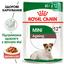 Вологий корм для собак малих порід старше 12 років Royal Canin Mini Ageing 12+, шматочки в соусі з м'ясом, 85 г (1093001) - мініатюра 4