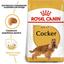 Сухой корм для взрослых собак породы Кокер спаниель Royal Canin Cocker Adult, 3 кг (3969030) - миниатюра 6