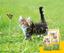Сухой корм для котят Josera Kitten Grainfree, 400 г - миниатюра 6