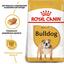Сухой корм для взрослых собак породы Бульдог Royal Canin Bulldog Adult 12 кг (2590120) - миниатюра 5