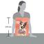 Сухий корм для собак з підвищеною активністю Dog Chow Active Adult 1+, з куркою, 2,5 кг - мініатюра 4