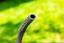 Шланг садовый Neo Tools Professional, 6 шаров, 3/4", 50 м - миниатюра 6