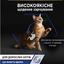 Вологий корм для домашніх дорослих котів Purina Pro Plan Adult Indoor з лососем 85 г (12457618) - мініатюра 8