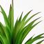 Горщик зі штучною рослиною МВМ My Home, 19 см, сірий (DH-FLOWERS-19 GREEN/GRAY) - мініатюра 6