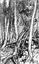 Ундина. Повість - Фрідріх де ла Мотт Фуке (978-966-10-4759-3) - миниатюра 3
