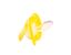 Пустушка силіконова Baby Team, ортодонтична, 6+ міс., жовтий (3011_желтый) - мініатюра 2