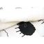 Набір для кухні Izzihome Веселі ягнята: фартух та рушник, білий з чорним (604958) - мініатюра 5