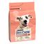 Сухий корм для собак з чутливим травленням Dog Chow Sensitive Adult 1+, з лососем, 2,5 кг - мініатюра 2