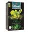 Чай чорний Dilmah з ароматом м'яти, 20 шт, (831502) - мініатюра 1