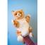 Мягкая игрушка на руку Hansa Puppet Имбирный кот, 30 см, белый с оранжевым (7182) - миниатюра 6