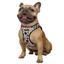 Шлея для собак Bronzedog Sport Vest Геометрия XXS 15х13х3 см - миниатюра 3